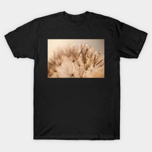 Dandelion Dew T-Shirt